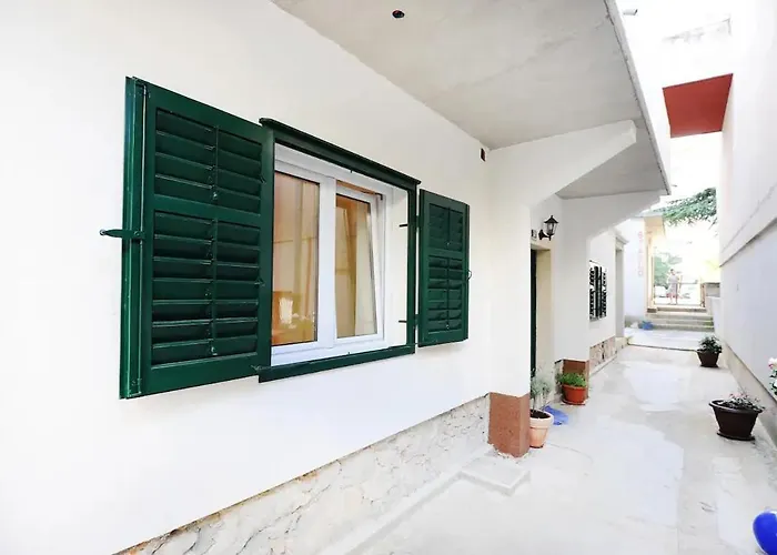 Bruno-centre Of * שיבניק