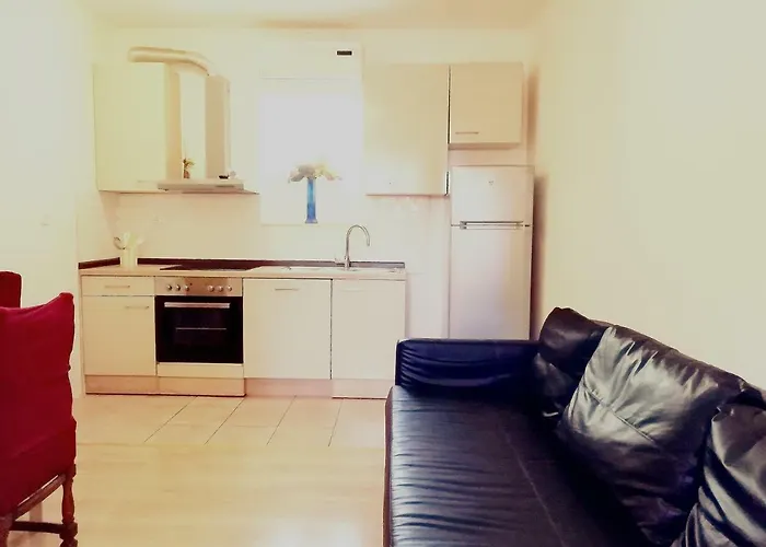 Bruno-centre Of * שיבניק